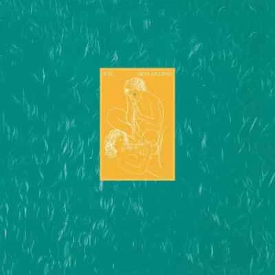 Skylarking  XTC CD Album with Blu-ray new sealed LTD mint psych pop free uk ship - Image 1 of 2