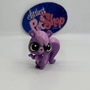 MINI SKUNK #3792 - Autentico negozio di animali più piccoli - Hasbro LPS - Foto 1 di 4