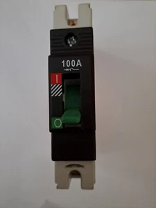 WYLEX MCCB single pole 100A circuit breaker, NHGPCB1001