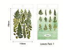 12 Large pressed green leaves transparent vintage floral decor vinyl stickers 