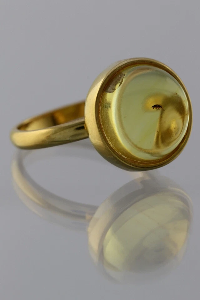 Anillo ajustable de plata chapado en oro ámbar báltico genuino insecto fósil 191029-11 Foto 1 de 4