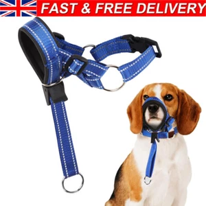 Figure of 8 Dog Lead With Padded Nose Loop-Anti Pull Dog Lead Stop Dog's Pulling - Picture 1 of 8
