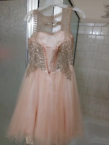 Cinderella Couture dress Rhinestone, Lace, and Tulle Dress Blue Girls Size 14 - Picture 1 of 4