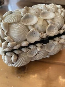Shell Box, Jewelry Box, Keepsake Box 4x3x2.5 Inches - Picture 1 of 9