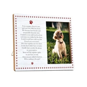 Pet Memorial Pictures Frame, Remembrance Photo Frame, Sympathy Gifts For Loss - Picture 1 of 6