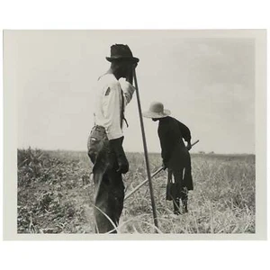 Dorothea Lange / Cotton Sharecroppers Greene County Georgia They produce little - Imagen 1 de 2