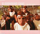 (133) Bloodhound Gang – 'The Bad Touch'- UK Enhanced CD/Video Single 2000- New