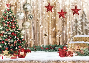 7X5Ft Christmas Backdrops for Photography Winter Snow Backdrop Rustic Wood Floor - Picture 1 of 12