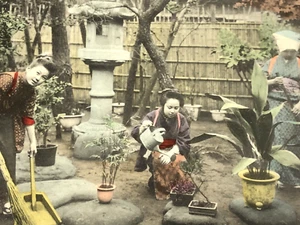 Antique Japanese Girls in Oriental Bonsai Garden Hand colored postcard - Picture 1 of 8