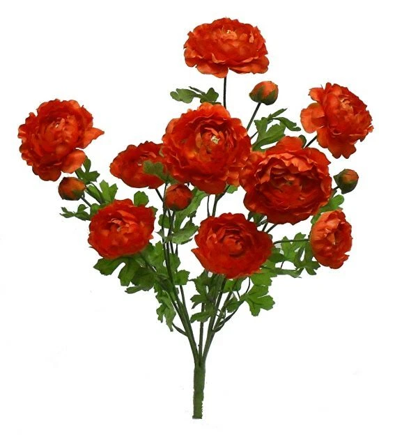 Ranunculus Bush 5 tallos 22 pulgadas naranja Foto 1 de 1