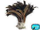 1/2 Yard - Natural Brown Half Bronze Coque Tail Strung Wholesale Feathers Supply