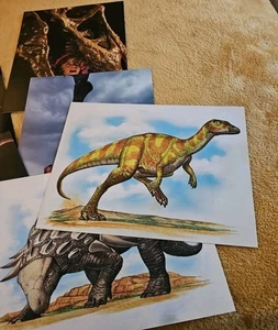 Dinosaur Learning Cards Large Vintage Glossy 8.5"x 11" Lot (15) Silver Burrdett - Picture 1 of 8