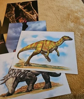 Dinosaur Learning Cards Large Vintage Glossy 8.5"x 11" Lot (15) Silver Burrdett - Image 1 of 4