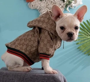 Sudadera con Capucha para Perros Ropa de Diseño de Lujo Chaqueta de Invierno Clásica Diseñador Mediana Perro Abrigos - Imagen 1 de 6