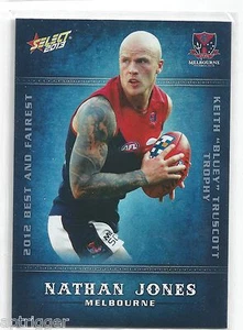 2013 Champions Best & Fairest (BF11) Nathan JONES Melbourne - Picture 1 of 1