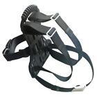  Scuba Tank Backpack with Adjustable Straps for Snorkeling PP Black