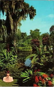 Floridas Zypressengärten um 1972 Postkarte - Bild 1 von 2