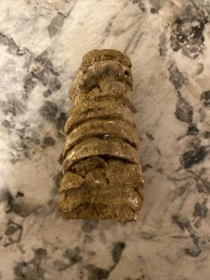 Fossil Of What Looks Like A Back Bone - Image 1 of 4