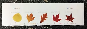 2025USA Postcard Forever Rate Vibrant Leaves - Top Plate Strip of 5 Mint - Picture 1 of 1
