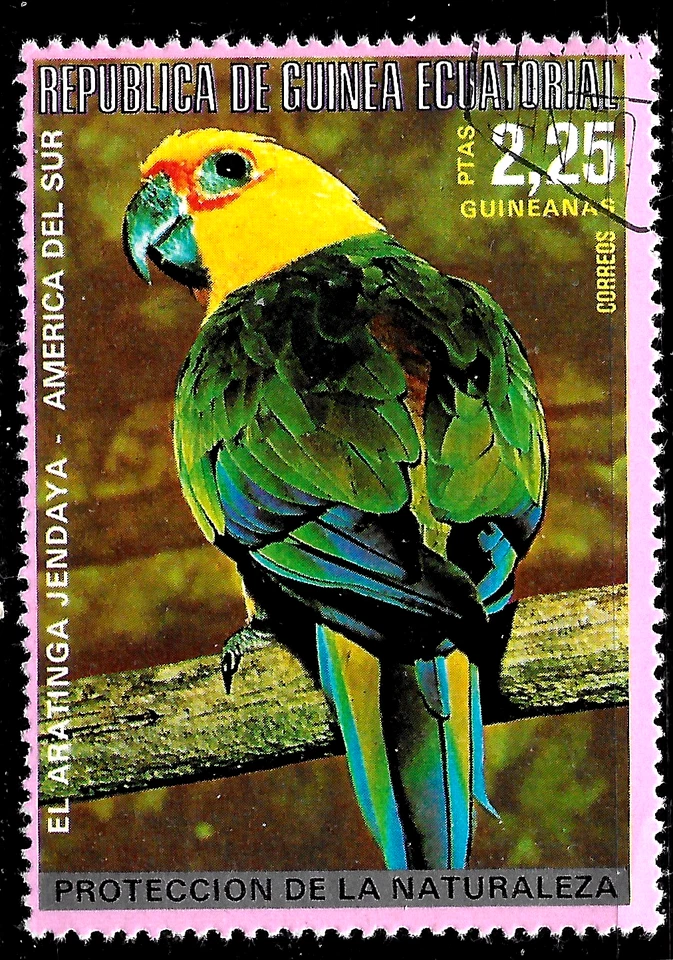 🔥Guinea Ecuatorial 2.25P🔥BIRD Jandaya Periquito (Aratinga jandaya) USADO en muy buen estado Foto 1 de 1