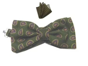 Lana Fliege Für Herren Grün Paisley Muster Beige Lila Und Passendes Einstecktuch - Bild 1 von 8