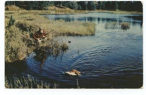 Entenjagd mit Hund Postkarte - Bild 1 von 2