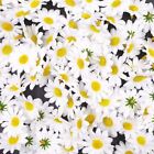 100 x Artificial white craft daisy daisies fabric flowers heads, White