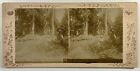 Germany Thuringia L?Hermannstein c1890 Photo Stereo Vintage Citrate