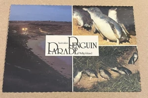 UNUSED POSTCARD - PENGUIN PARADE AT RESERVE, PHILLIP ISLAND, VICTORIA, AUSTRALIA - Picture 1 of 2