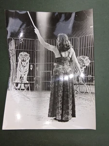 DDR presse foto 24x18 Dompteur REGINA MARCELLA Tiger STAATS ZIRKUS photo tamer - Bild 1 von 1