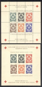 POLONIA ESCASA 1945 Hojas De La Cruz Roja - Perf Y Imperf - Imagen 1 de 1