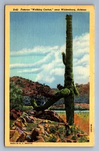 AK Vintage gestempelt 1947 Berühmter Wanderkaktus Wickenburg Arizona - Bild 1 von 2