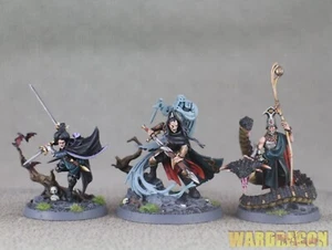 Warhammer AOS WDS painted Blades of the Hollow King b51 - Picture 1 of 7