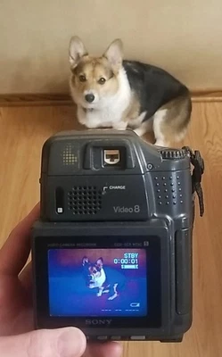 Sony Handycam SC5 CCD-SC5 Video 8 Tape Digital Video Camera Gray Tested WORKS! - Image 1 of 4