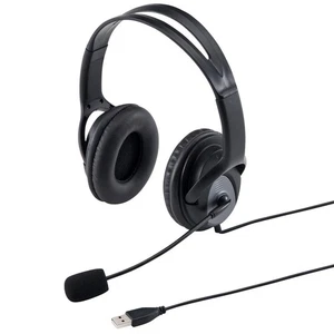 Sanwa supply USB headset MM-HSUSB17BK Skype Music Dynamic type 40mm Japan - Afbeelding 1 van 9