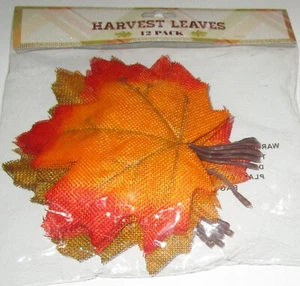 HOJAS DE COSECHA ~ Paquete de 12 ~ 6" X 6" ~ HOJAS DE ARCE - Imagen 1 de 1