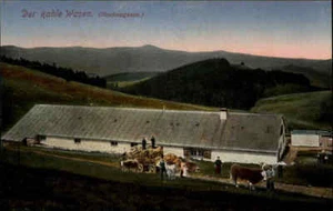 ~1910 Elsass Bauernhof Bauern Hochvogesen Vogessen Der Kahle Wasen Carte Postale - Picture 1 of 2
