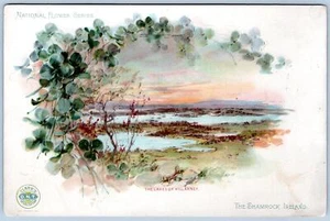 1893 CLARK'S ONT SPULE BAUMWOLLFADEN SEEN VON KILLARNEY IRLAND SHAMROCK LG KARTE - Bild 1 von 2