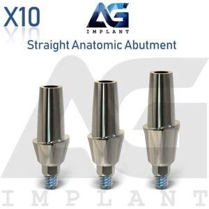10 Straight Anatomic Prosthetic System Aesthetic Titanium Int Hex 2.42mm - Picture 1 of 3