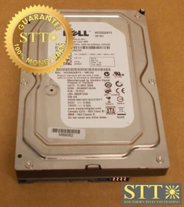 0H962F WD DELL RE3 250GB 7200 RPM 16MB CACHE SATA I 3.5" HARD DRIVE WD2502ABYS - Picture 1 of 4