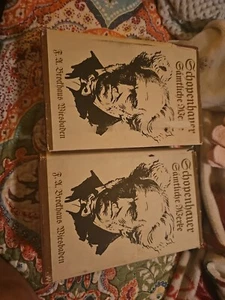 Arthur Schopenhauer 1891 Sammtliche Werke Volume 2 And 3 Antique Books - Picture 1 of 7