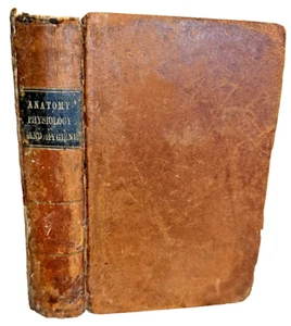 RARE Treatise Anatomy Physiology Hygiene Cutter 1849 Antique Medical Book Illust - Imagen 1 de 17