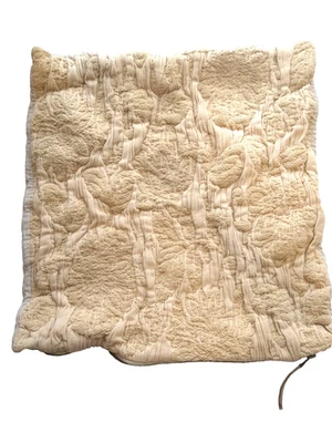 Funda Almohada Southern Living Beige 20 x 20 Exclusiva Dillards Algodón Lino Foto 1 de 4