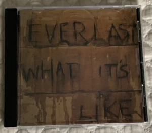 Everlast / What It's Like / CD/ 1998/ W/CASE/ships same day - Foto 1 di 9