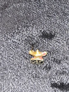 Vintage CSF 10k Gold Collectible LAMP PIN for CA Scholarship Federation Rare - Picture 1 of 5