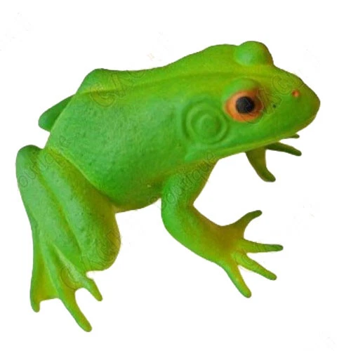 Geocaching 'Escondite Cache "insect" - Rana media geocaché extravagante - Imagen 1 de 1