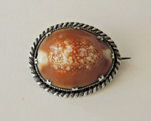 ANTIQUE AUSTRALIAN SILVER COWRIE SHELL BROOCH PENDANT #11 - Picture 1 of 3