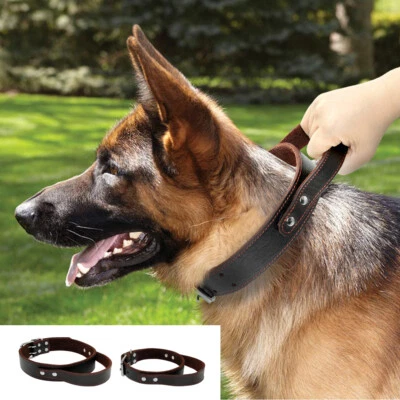 Heavy Duty Soft Real Leather Dog Collar with Control Handle for Training Pitbull - Image 1 of 4