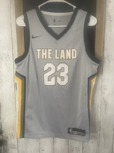 NBA NIKE LeBron James Swingman Cleveland Cavaliers Jersey Men’s Size L The Land - Picture 1 of 8