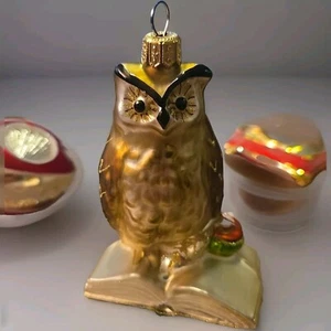 Coppenrath Wise Old Owl - Polish Blown Glass Christmas Ornament - Picture 1 of 6
